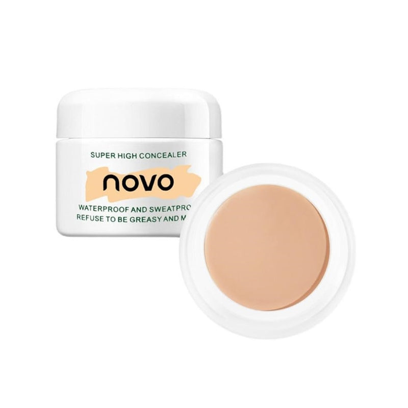 🔥heißer Verkauf🔥Langanhaltender wasserfester Concealer