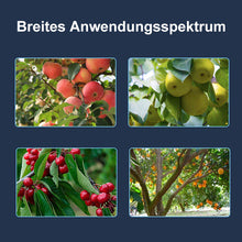 Laden Sie das Bild in den Galerie-Viewer, 🍒Werkzeug zum Formen von Obstbäumen（40 Stück）