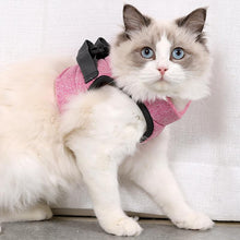 Laden Sie das Bild in den Galerie-Viewer, Katzenweste und Leine