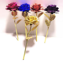 Laden Sie das Bild in den Galerie-Viewer, 24 Karat Gold Rose
