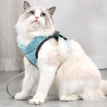 Laden Sie das Bild in den Galerie-Viewer, Katzenweste und Leine