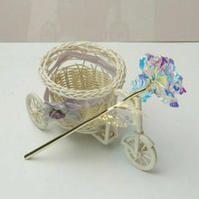 Laden Sie das Bild in den Galerie-Viewer, Bunte Galaxy Rose