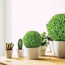 Laden Sie das Bild in den Galerie-Viewer, 🎍Künstlicher Pflanzengrasball
