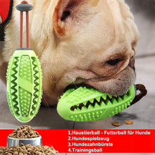 Laden Sie das Bild in den Galerie-Viewer, Vorverkauf >> Hundezahnbürstenspielzeug