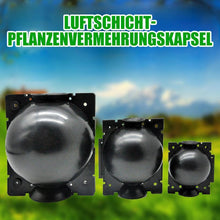 Laden Sie das Bild in den Galerie-Viewer, Luftschicht-Pflanzenvermehrungskapsel