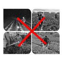 Laden Sie das Bild in den Galerie-Viewer, Landwirtschaft Zerstäuberdüsen