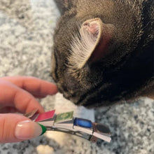 Laden Sie das Bild in den Galerie-Viewer, 📗📕📔📙Miniatur-Buch-Haarspange