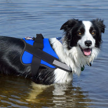 Laden Sie das Bild in den Galerie-Viewer, Hundeweste mit vollem Funktionsumfang
