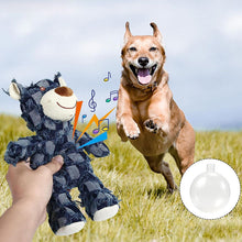 Laden Sie das Bild in den Galerie-Viewer, 🎁Plüschbär Spielzeug Haustier Spielzeug