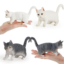 Laden Sie das Bild in den Galerie-Viewer, Kinder Katze Modell Spielzeug