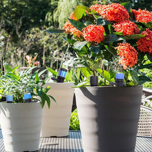 Laden Sie das Bild in den Galerie-Viewer, 💦Bewässerungsset für den Garten