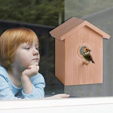 Laden Sie das Bild in den Galerie-Viewer, DIY Sucker Vögel-Nest
