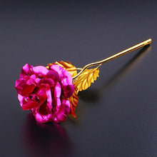 Laden Sie das Bild in den Galerie-Viewer, 24 Karat Gold Rose