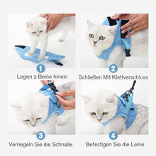 Laden Sie das Bild in den Galerie-Viewer, Katzenweste und Leine
