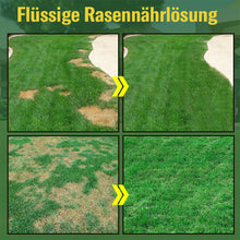 Laden Sie das Bild in den Galerie-Viewer, 💦🎍Flüssige Rasennährlösung