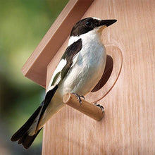 Laden Sie das Bild in den Galerie-Viewer, DIY Sucker Vögel-Nest