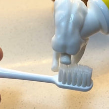 Laden Sie das Bild in den Galerie-Viewer, Denker Zahnpastapresse