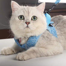 Laden Sie das Bild in den Galerie-Viewer, Katzenweste und Leine