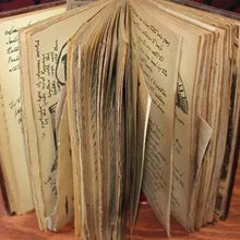 Laden Sie das Bild in den Galerie-Viewer, Tagebücher des Heiligen Grals