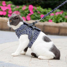 Laden Sie das Bild in den Galerie-Viewer, Geschirr und Leine der Katzenweste zum Gehen im Freien